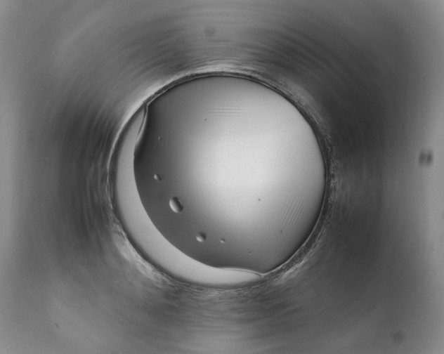 X0000112040892200908241559