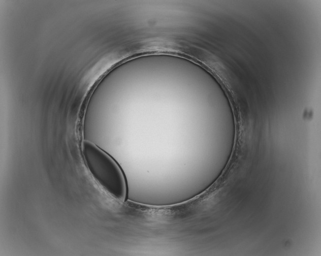 X0000112040893200908241559