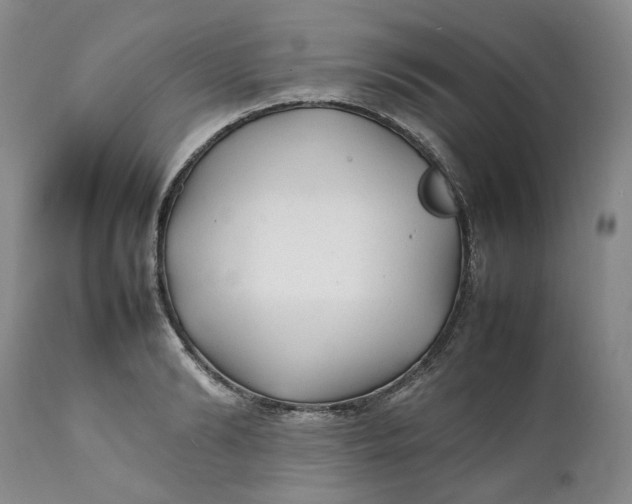 X0000112040894200908241559