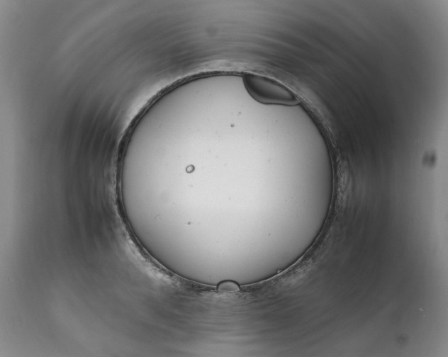 X0000112040896200908241559