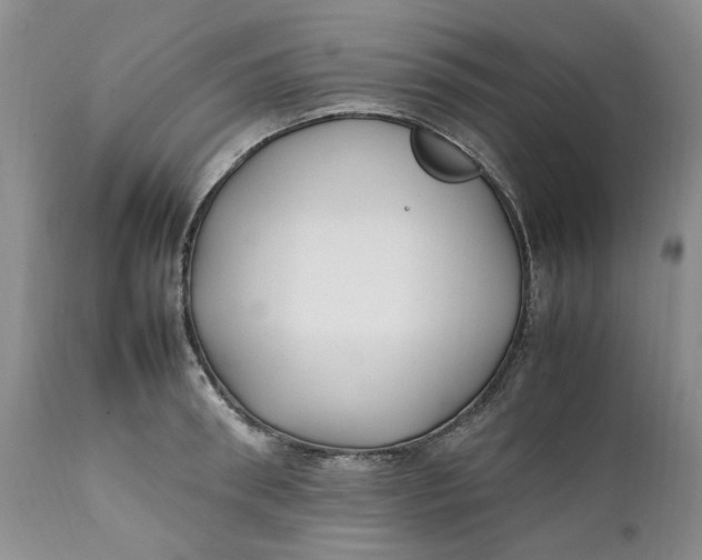 X0000112040898200908241559