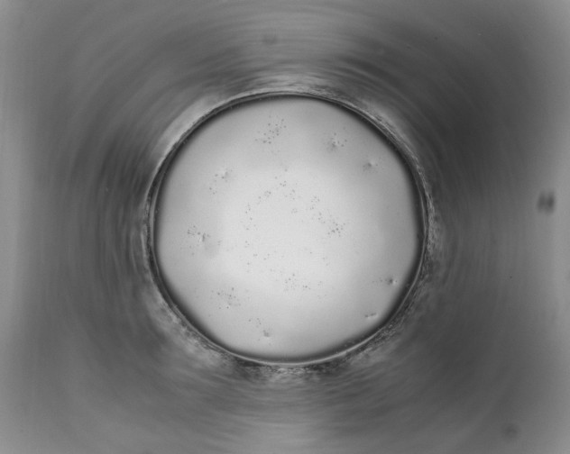 X0000112040899200908241559