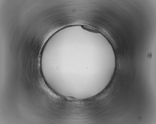 X0000112040900200908241559