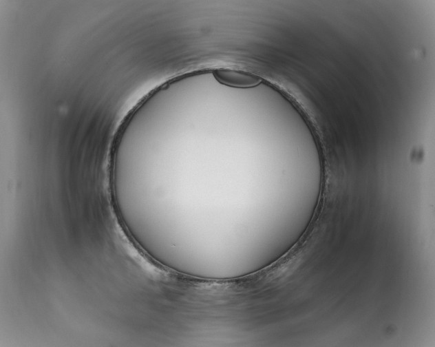 X0000112040902200908241559