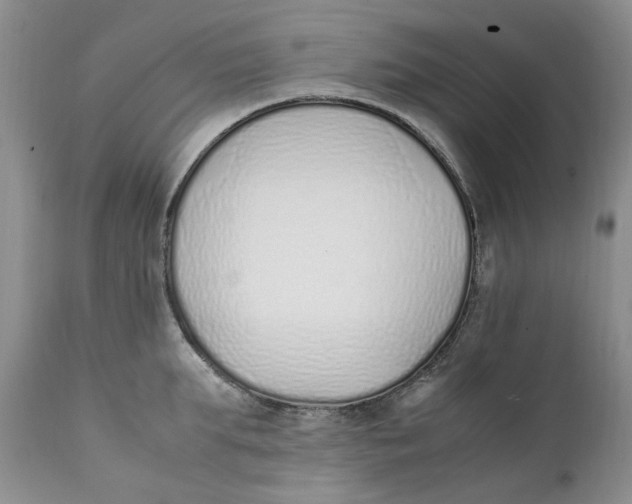 X0000112040903200908241559