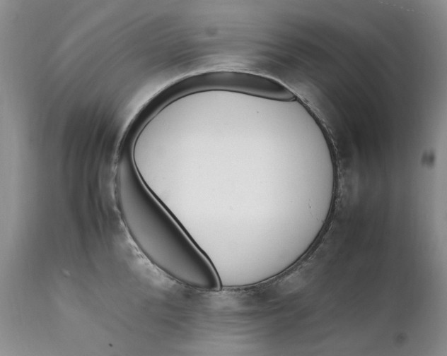 X0000112040904200908241559