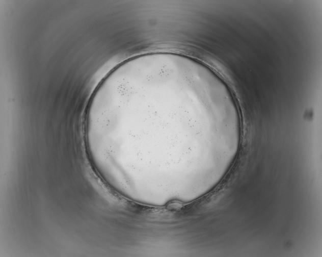 X0000112040907200908241559