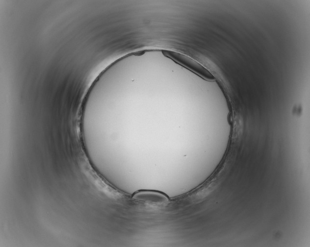 X0000112040908200908241559