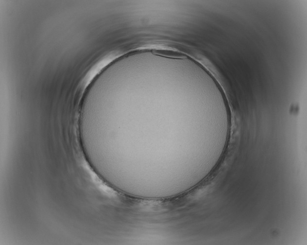 X0000112040909200908241559