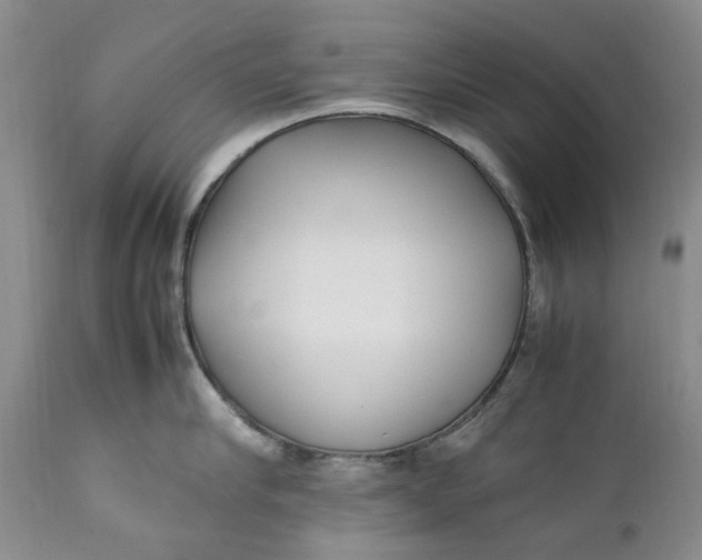 X0000112040910200908241559