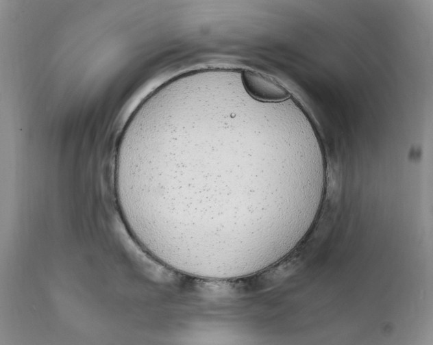 X0000112040911200908241559