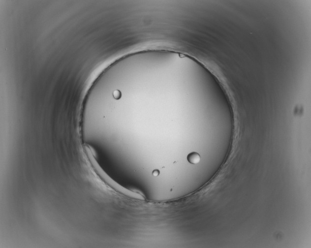 X0000112040912200908241559