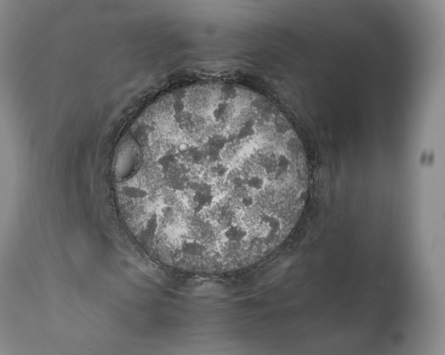 X0000112040913200908241558