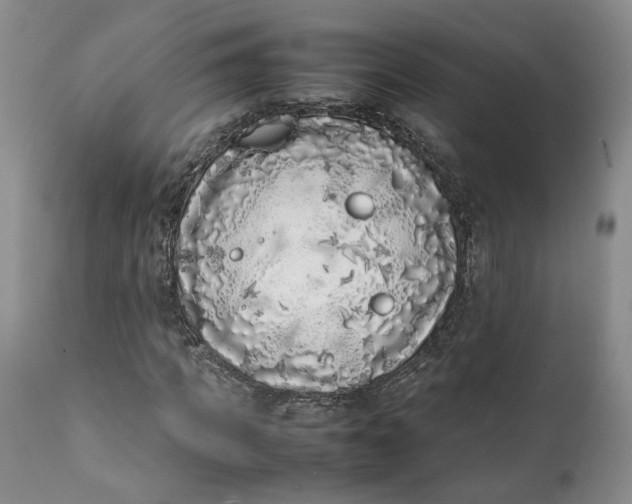 X0000112040917200908241558