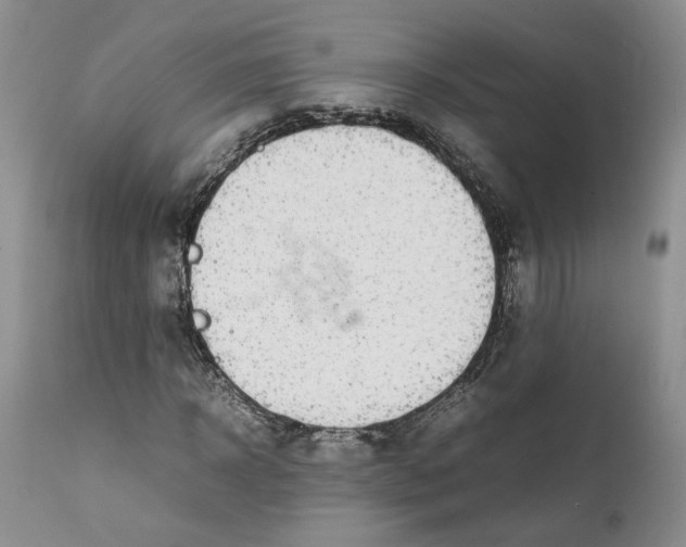 X0000112040918200908241558