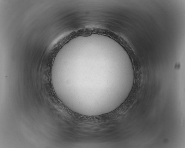 X0000112040919200908241558