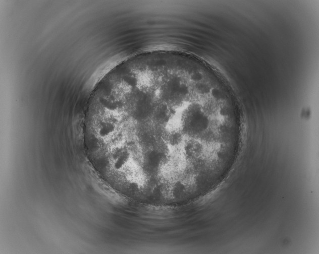 X0000112040921200908241558