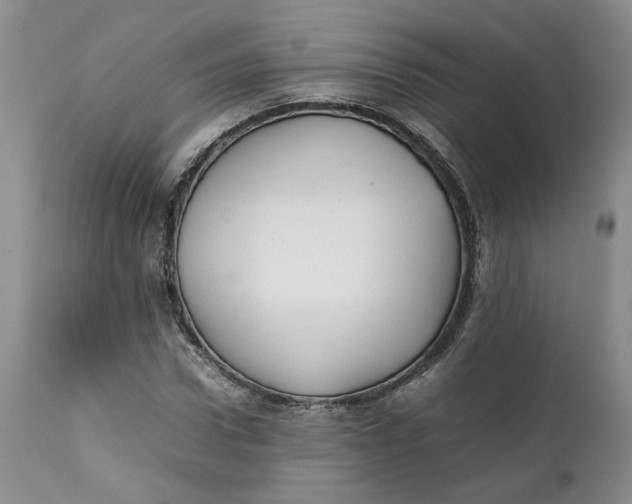 X0000112040922200908241558