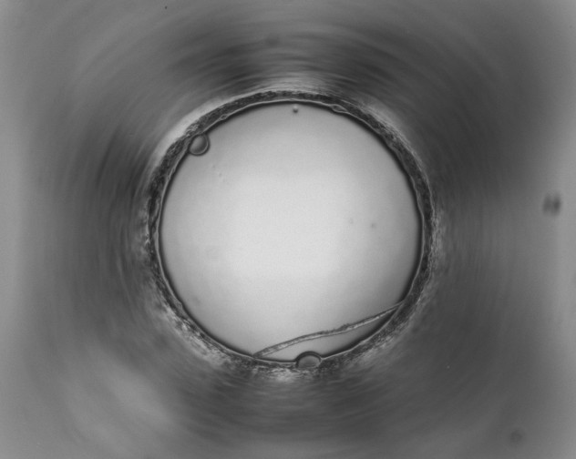 X0000112040923200908241558