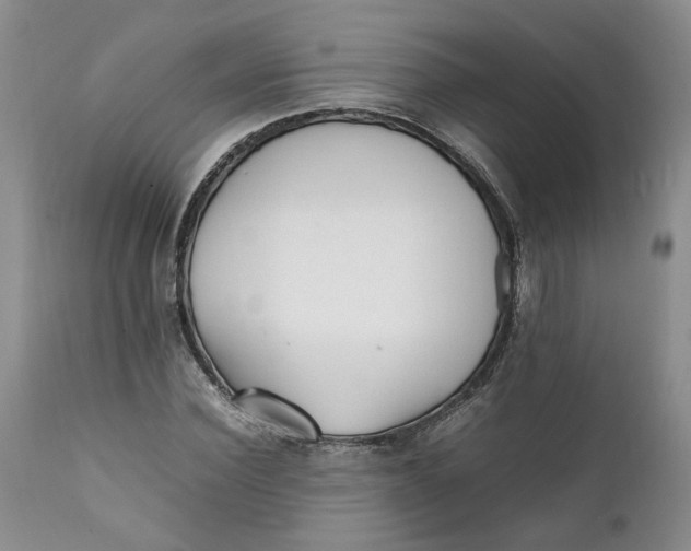 X0000112040924200908241558