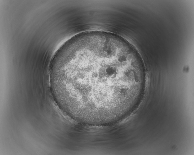 X0000112040925200908241558