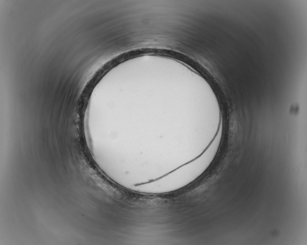 X0000112040926200908241558