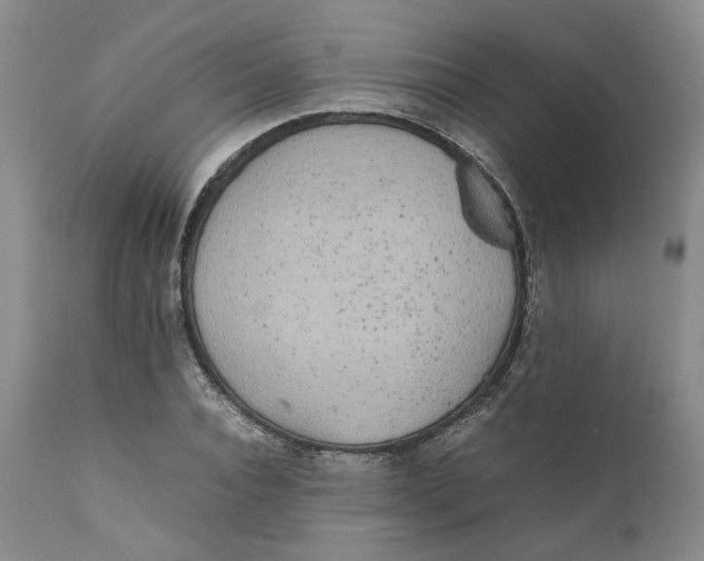 X0000112040928200908241558