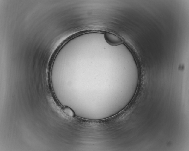 X0000112040932200908241559
