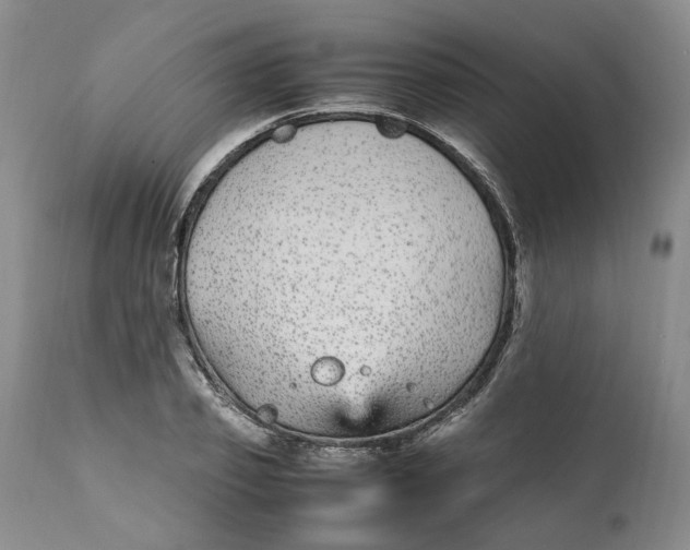 X0000112040933200908241559