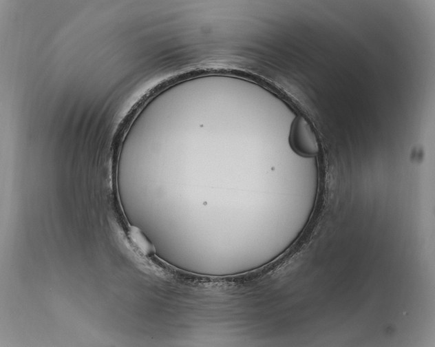 X0000112040934200908241559