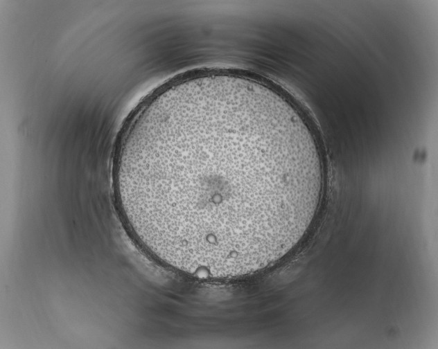 X0000112040935200908241559