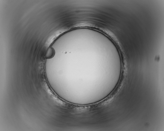 X0000112040937200908241559