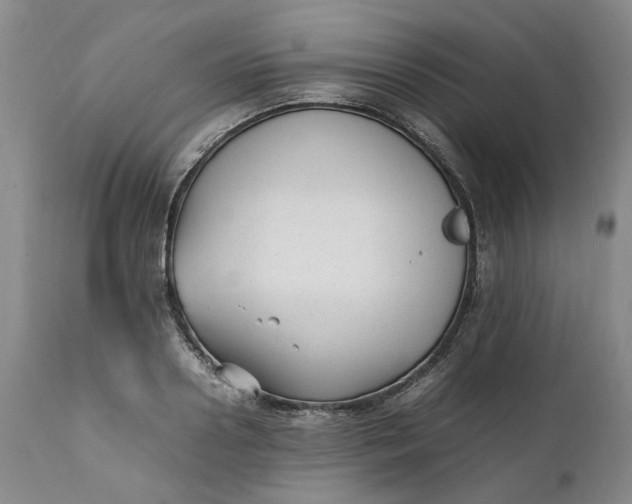 X0000112040938200908241559