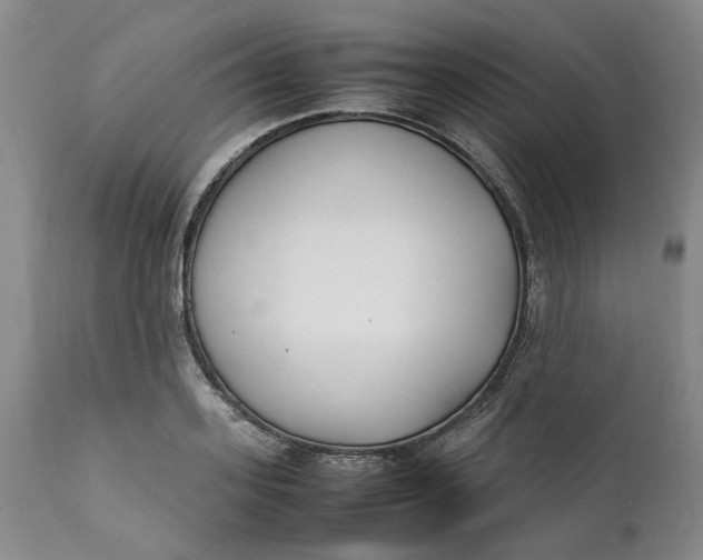 X0000112040939200908241559