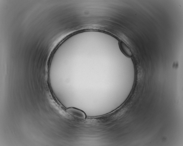 X0000112040940200908241559