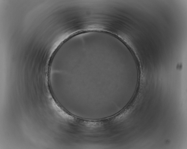 X0000112040941200908241559