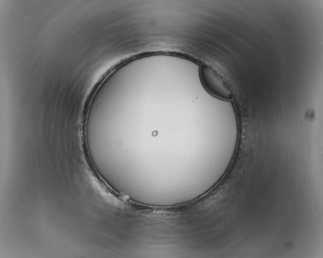 X0000112040942200908241559