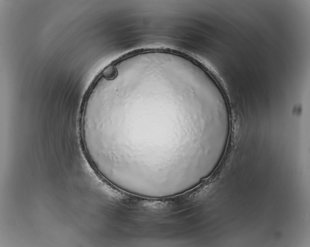 X0000112040943200908241559