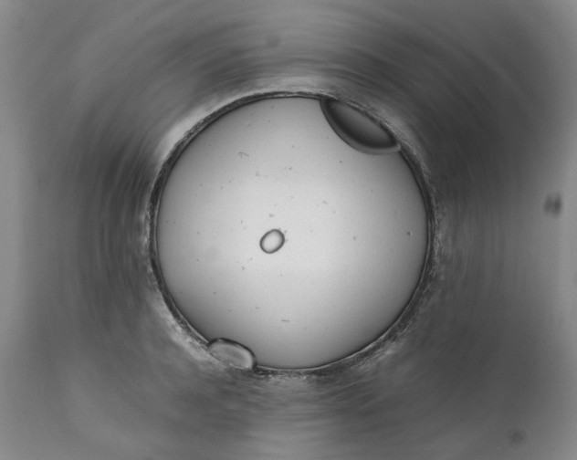 X0000112040944200908241559