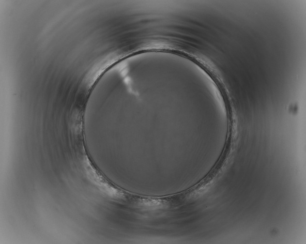 X0000112040945200908241559