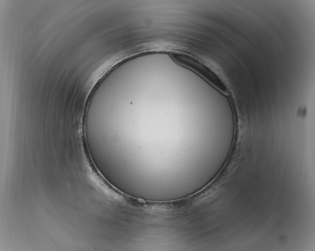 X0000112040946200908241559