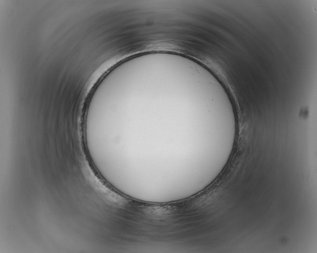 X0000112040947200908241559