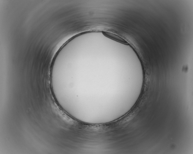 X0000112040948200908241559