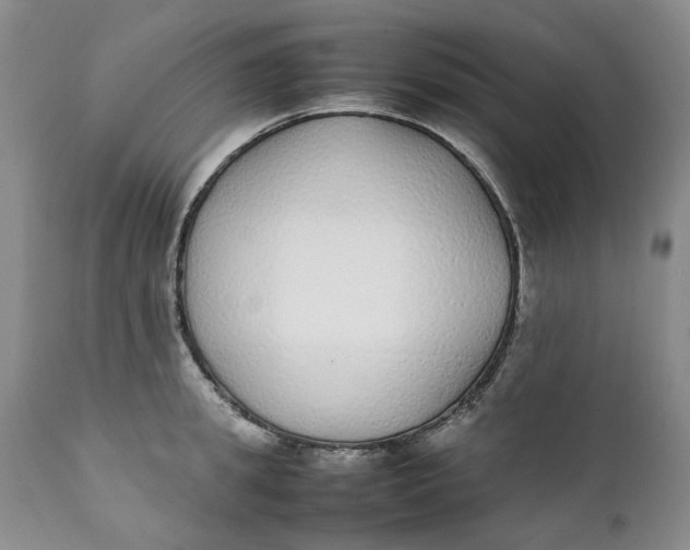 X0000112040949200908241559