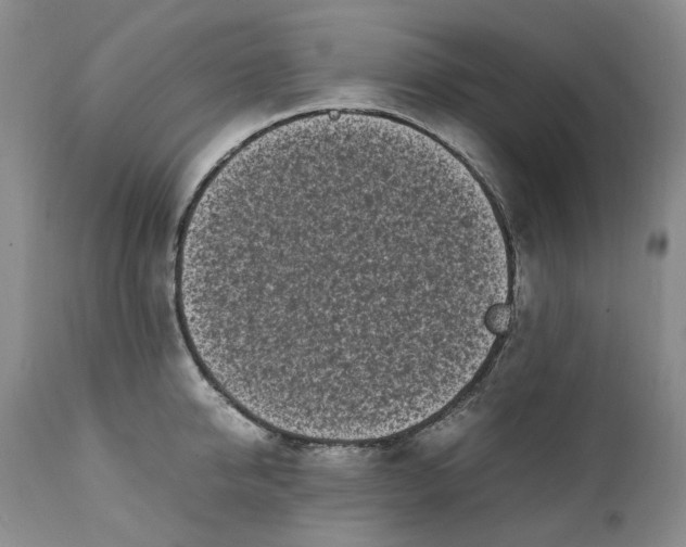 X0000112040950200908241559