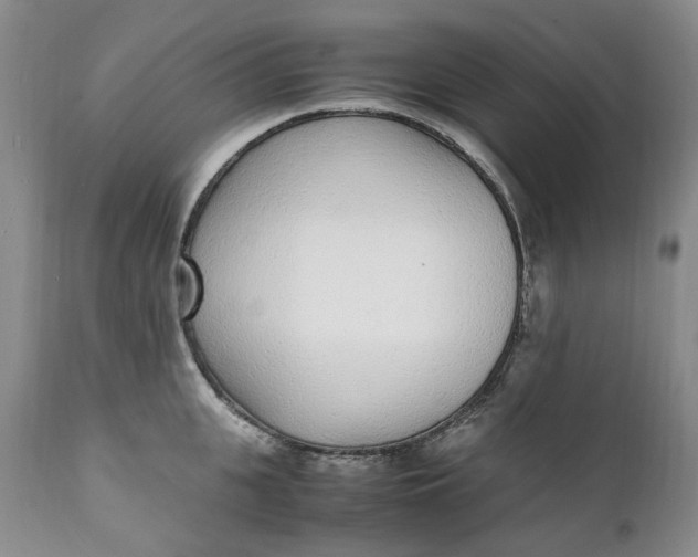 X0000112040951200908241559