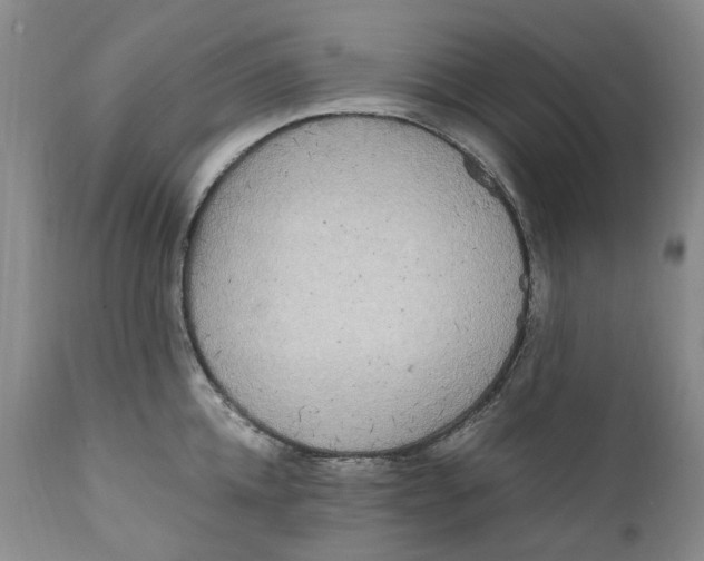 X0000112040952200908241559