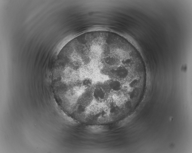 X0000112040953200908241559