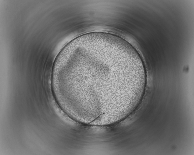 X0000112040954200908241559