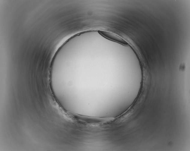 X0000112040956200908241559